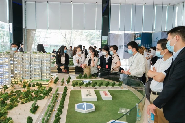 So sánh Vlasta Thuỷ Nguyên